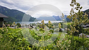 Beautiful Aps landscape with green mountains, valley, cozy hauses photo