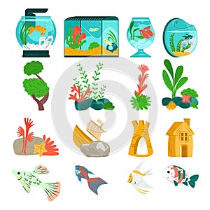 Beautiful aquarium set fish, vector illustration. Aquatic collection designer fauna in glass tank. Marine flora natural