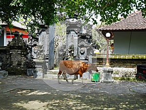 Beautiful architecture in Bali, beautiful houses in Bali