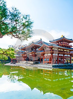 Beautiful Architecture Byodo-in Temple at Kyoto.