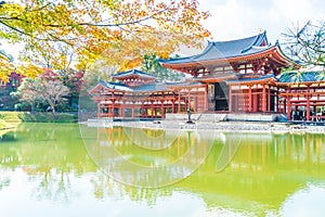 Beautiful Architecture Byodo-in Temple at Kyoto.