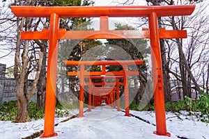 Beautiful Architecture Fushimiinari Taisha Shrine Temple in Hokkaido, Japan During winter season