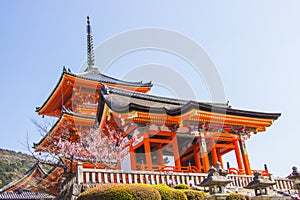 Beautiful architecture inside Kiyomizu-dera temple during cherry sakura blossom time are going to bloom in Kyoto, Japan