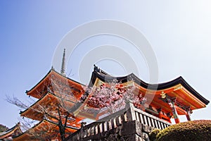 Beautiful architecture inside Kiyomizu-dera temple during cherry sakura blossom time are going to bloom in Kyoto, Japan