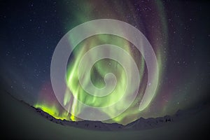 Beautiful Arctic glacier landscape with Northern Lights - Spitsbergen, Svalbard