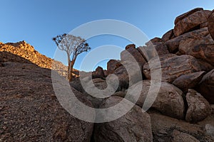 A beautiful arid mountain landscape with a Quiver tree