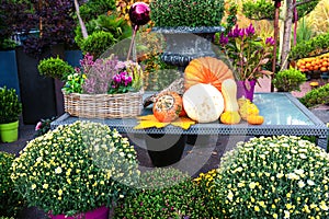 Externo otono flor decoraciones sobre el mesa diferente a naranja calabaza blanco mamás crisantemo flores en cestas 