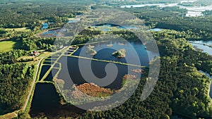 beautiful artificial lake in green forest, serene fishing pond and swamp, fishery and hunting industry, aerial top view