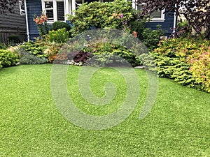 A beautiful artificial lawn in the front yard with nice flowers and shrubs surrounding it