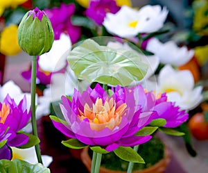 Beautiful of artificial lotus