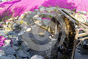 Beautiful artificial mill stream or water wheel decorated in botanical garden at Hwangmaesan County Park in Hapcheon-gun photo