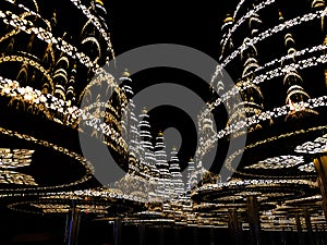 Beautiful artificial pine trees decorated with Thai pattern lights at night