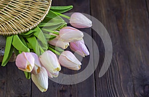 Beautiful artificial pink tulips in a basket on a dark wooden background.A basket with tulips for decoration