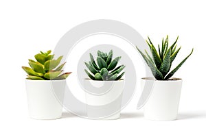 Beautiful artificial plants decorations in white pots isolated on white background