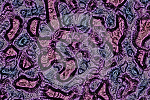 beautiful artistic biological consternation surface digital graphic texture halloween illustration