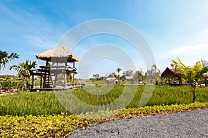 Asia countryside view photo