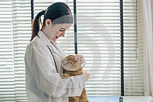 beautiful asian female veterinarian holding an adorable cat at clinic