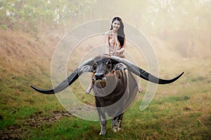 Beautiful Asian girl riding long horn buffalo