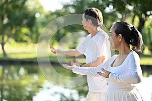 Beautiful Asian senior couple doing Tai Chi exercises in the park. Mental health and retired lifestyle concept