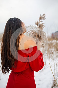 Beautiful asian woman in long red dress near the reeds over winter background. Fairy tale girl on winter landscape.