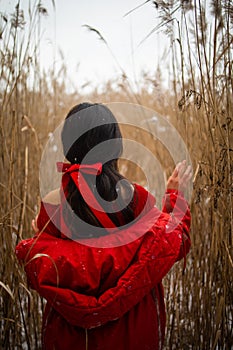 Beautiful asian woman in long red dress near the reeds over winter background. Fairy tale girl on winter landscape.