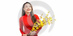 Beautiful asian woman in red dress Vietnamese style hold Hoa Mai tree Ochna Integerrima flower in arm in lunar New year