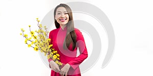 Beautiful asian woman in red dress Vietnamese style hold Hoa Mai tree Ochna Integerrima flower in arm in lunar New year