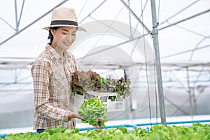 à¸ºBeautiful Asian woman is smiling and harvesting vegetables from a hydroponic farm.