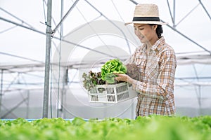 à¸ºBeautiful Asian woman is smiling and harvesting vegetables from a hydroponic farm.