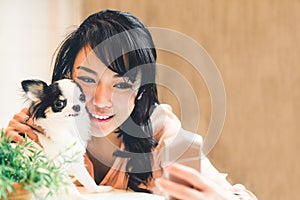 Krásny ázijský žena roztomilý čivava pes na kopírovať priestor. pôvabný človek a domáce zviera priateľstvo 