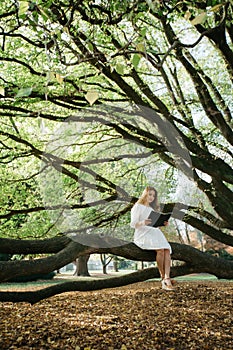 Beautiful asian woman in white dress sit on tree branch writing and thinking in the park with green leaves