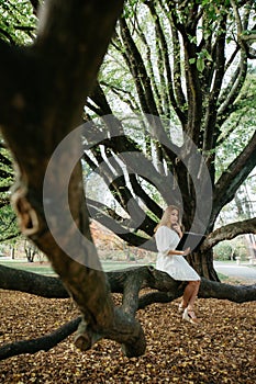 Beautiful asian woman in white dress sit on tree branch writing and thinking in the park with green leaves
