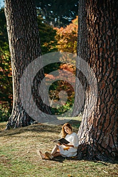 Beautiful asian woman in white dress sit under the tree  writing and thinking in the park with autumn leaves