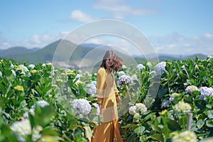 Beautiful Asian Woman in yellow dress walk in The Hydrangea Flowers Garden.