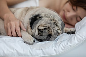 Beautiful Asian young woman hug cute dog pug breed and sleep together in cozy white bedroom relax and comfortable in living room,