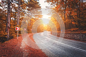 Beautiful asphalt road in orange forest at colorful sunrise in autumn. Crimean mountains. photo