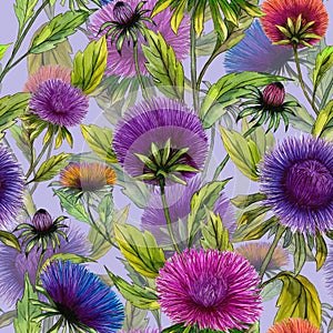 Beautiful aster flowers in different bright colors with green leaves on light lilac background. Seamless floral pattern.