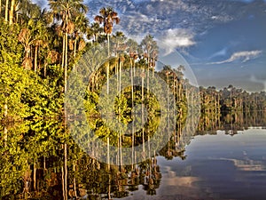 Beautiful atmosphere of the forest lake Sandoval, Peru