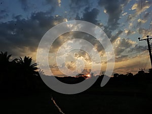 Evining sunlight with clouds and birds