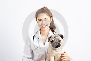 Beautiful Attractive Young Asian Veterinarian Woman smile with dog pug breed at the veterinarian clinic