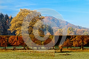 Beautiful atumn landscape