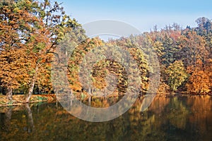 Beautiful atumn on pond