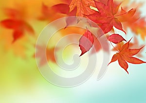 Beautiful Autumn Background