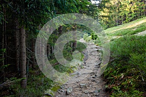 Beautiful autumn Beskidy mountains landscape