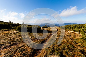 Beautiful autumn Beskidy mountains landscape