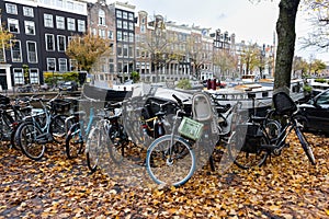 Beautiful Autumn Canal Scene with Colorful Fallen Leaves and Bikes in the Grachtengordel Neighborhood of Amsterdam