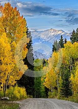 Beautiful Autumn Color in the Colorado Rocky Mountains. Autumn road scenery on Kebler Pass near Crested Butte, Colorado