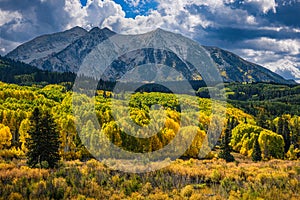 Beautiful Autumn Color in the Colorado Rocky Mountains. Backlit aspen trees with East Beckwith mountain backdrop. Kebler Pass near photo