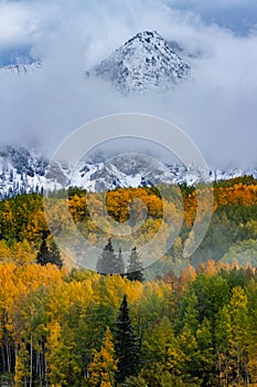 Beautiful Autumn Color in the Colorado Rocky Mountains on Kebler Pass near Crested Butte