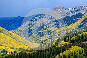 Beautiful Autumn Color in the Colorado Rocky Mountains. Peak fall foliage on the Million Dollar Highway near Ouray, Colorado photo